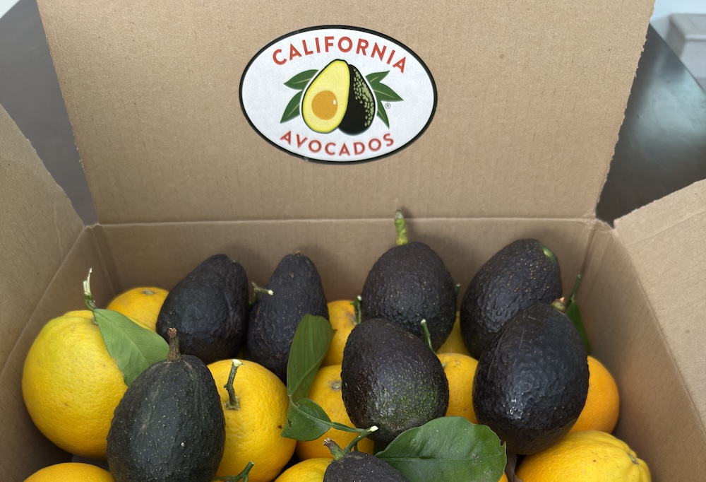 Hass Avocado and Citrus Box