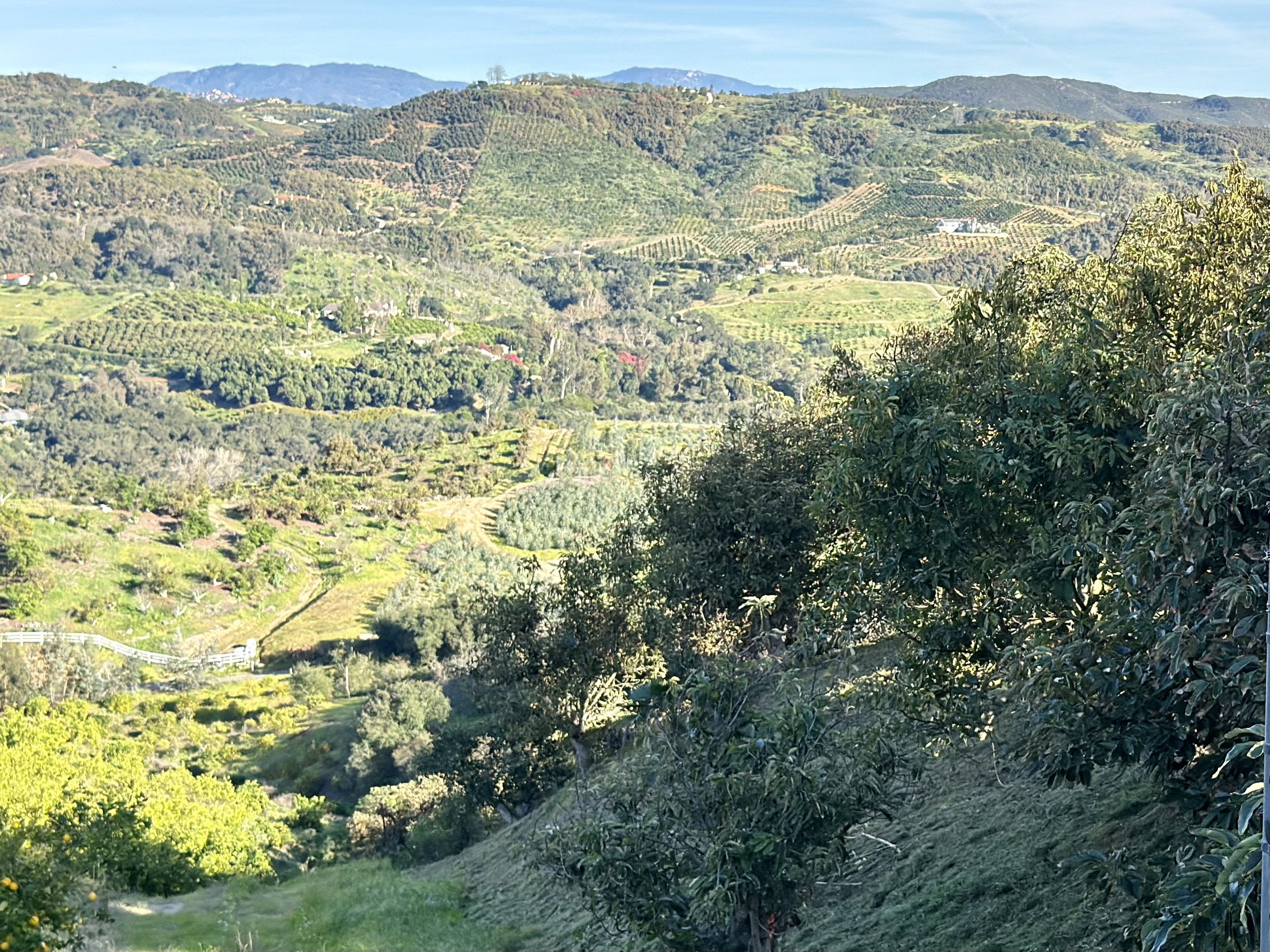 De Luz valley panoramic view from Patel Ranch avocado farm