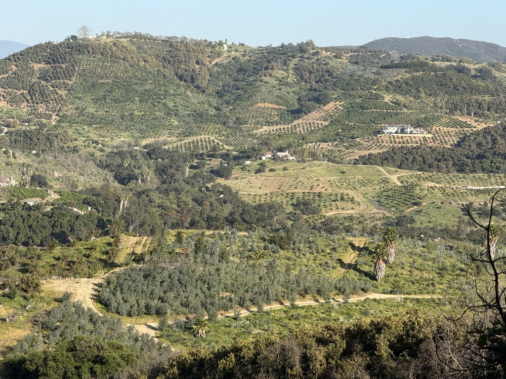 View of the De Luz valley from Patel Ranch avocado farm